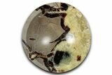 Eye-Eatching, Polished Septarian Dish - Madagascar #350225-1